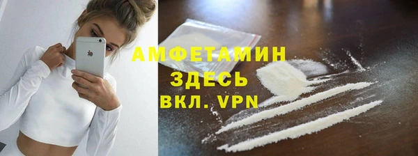 прущие грибы Карпинск