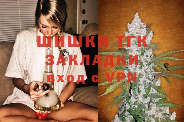 прущие грибы Карпинск