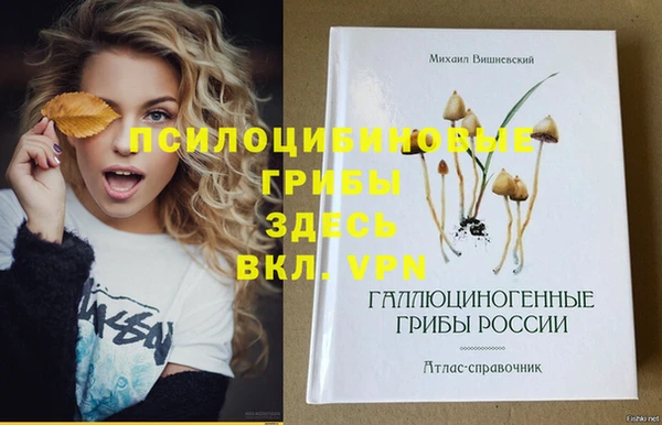 бошки Касимов