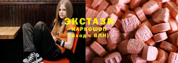крисы Козельск